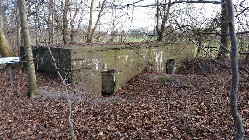 Bunker fra 1 verdenskrig i Toftlund lystskov