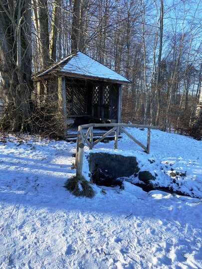 Ivars Kilde i Rosenholm skovene