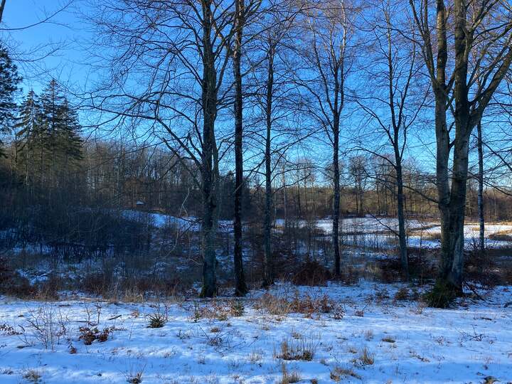Vi går igennem Rosenholm skoven til Ivars Kilde, vandet løber stadig fra kilden. 
Hytten blev brugt som skovturshytte.
