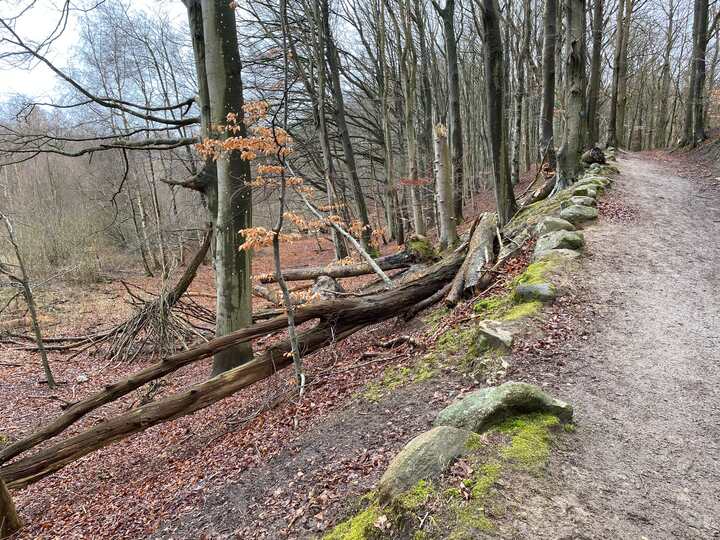 Strandkær turen