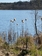 Øje sø Dunhammere  der danner frøuld