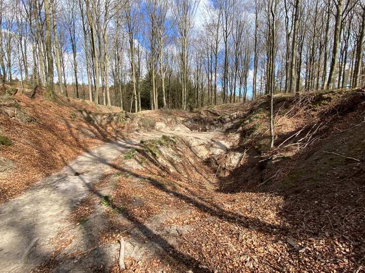 Grusgrav i Rosenholm skov