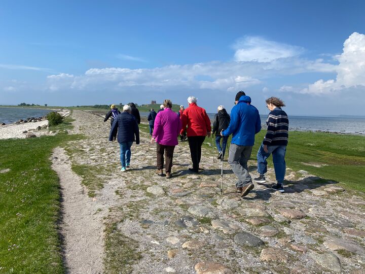 Stavgang mod Kalø Ruin