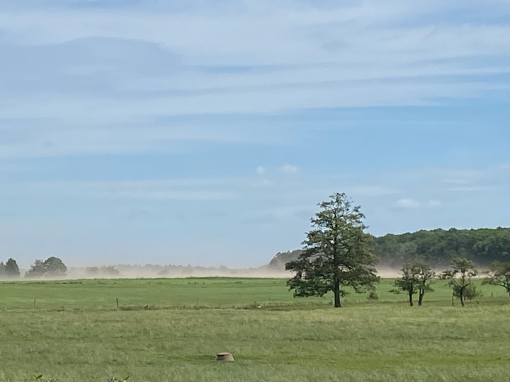 Løvenholm sandflugt
