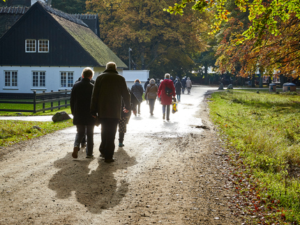 gÃ¥, vandre, efterÃ¥r, Dyrhaven, Gentofte, medlemmer, gruppe, bagfra, ryg, ryggen, solskin