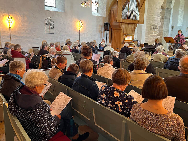 De mange deltagere sang med på de kendte, gamle sange. (Foto: Steen Sejfert Larsen).