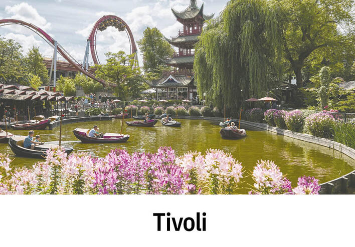 https://billeder.aeldresagen.dk/cdn/5FPHLBf/5MCLD5/gevinst-nr-12.jpg