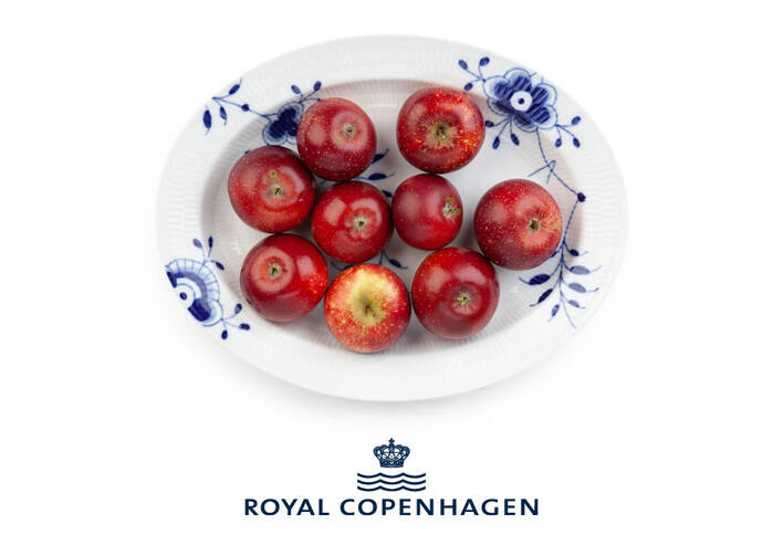 https://billeder.aeldresagen.dk/cdn/CzlhUce314Dm/VD93hcGICE6K/gevinst-nr-19.jpg