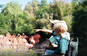 Børn ser på flamingoer i ZOO København med aktivitetshæfter i hånden.