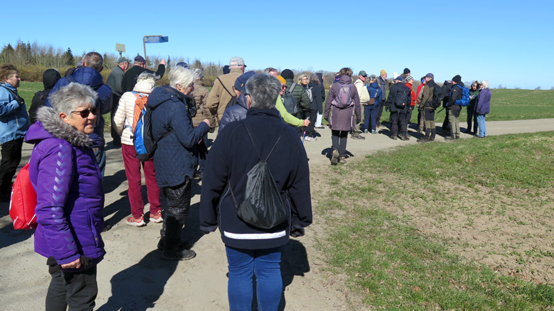 Fra Glad Motions vandretur 7. april 2026 til Gyldensåen. Turen startede i Bølshavn Havn. Foto: Benedikte Ogareck Hansen, Ældre Sagen Bornholm