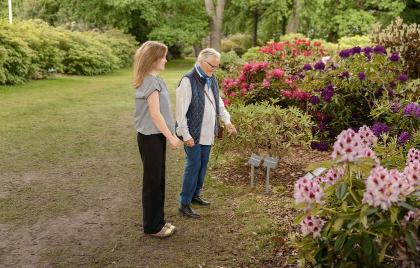Besøgende betragter Nivaagaards blomsterhave