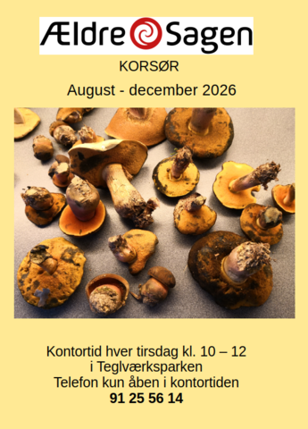 Program August - December 2026