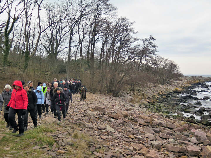 11. april 2023. Turen er ved at være slut og vi vandrer mod Nexø Gamle Røgeri og tilbage til bilerne (foto: Benedikte Ogareck Hansen)